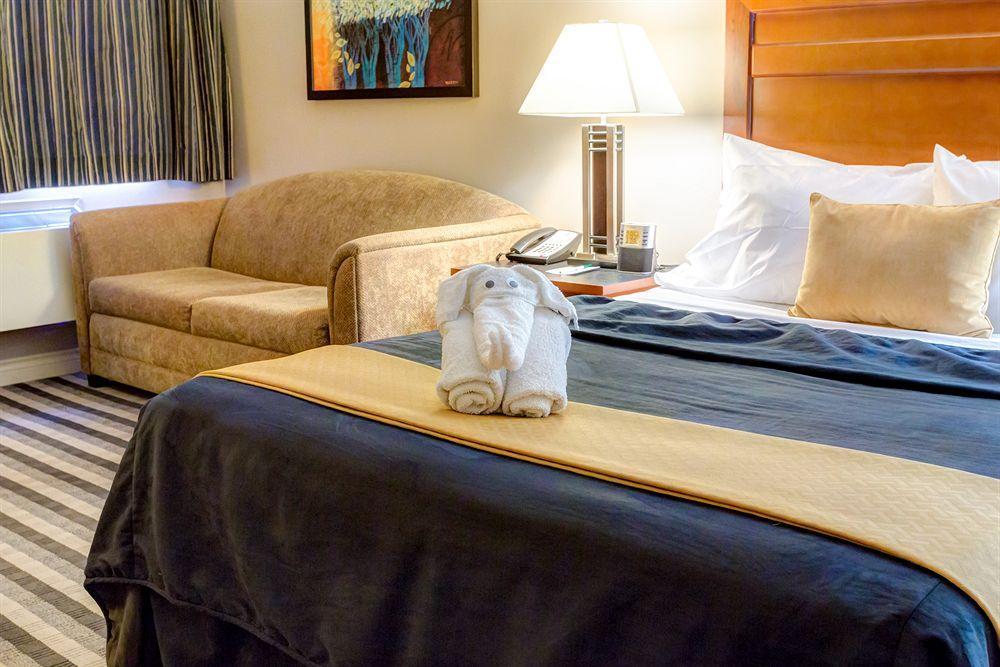 Quality Inn West Edmonton Esterno foto